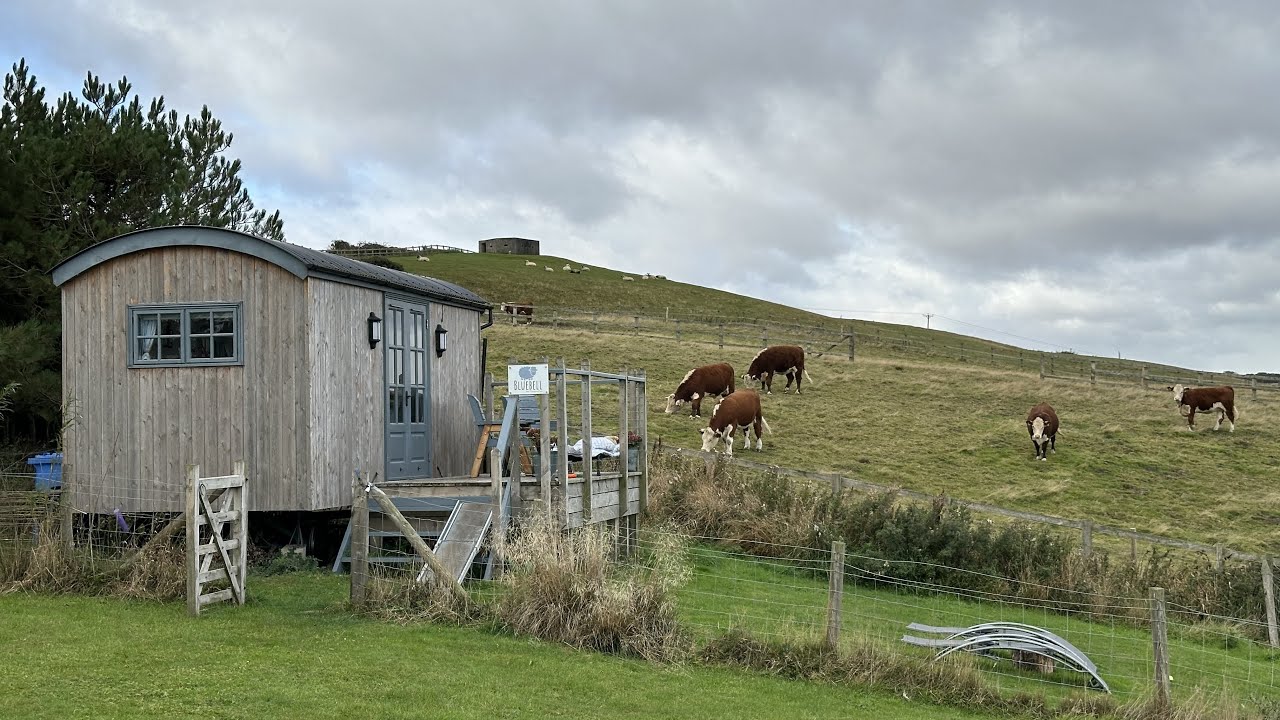 Bluebell Shepherd's Hut, Speeton