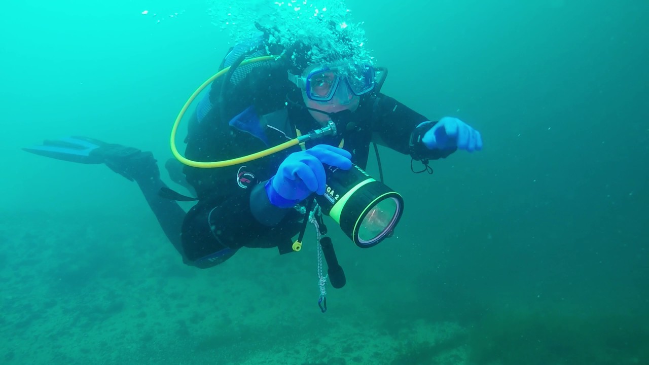 Diving at the small marina of Toscolano Maderno on Garda Lake (11-06-2017)