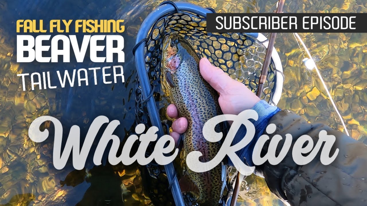 Fall Fly Fishing the White River Beaver Tailwater with Special Guest #whiteriver #fallfishing