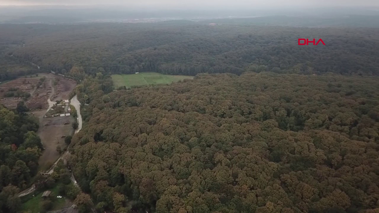 Belgrad Ormanı'ndan havadan görüntüler