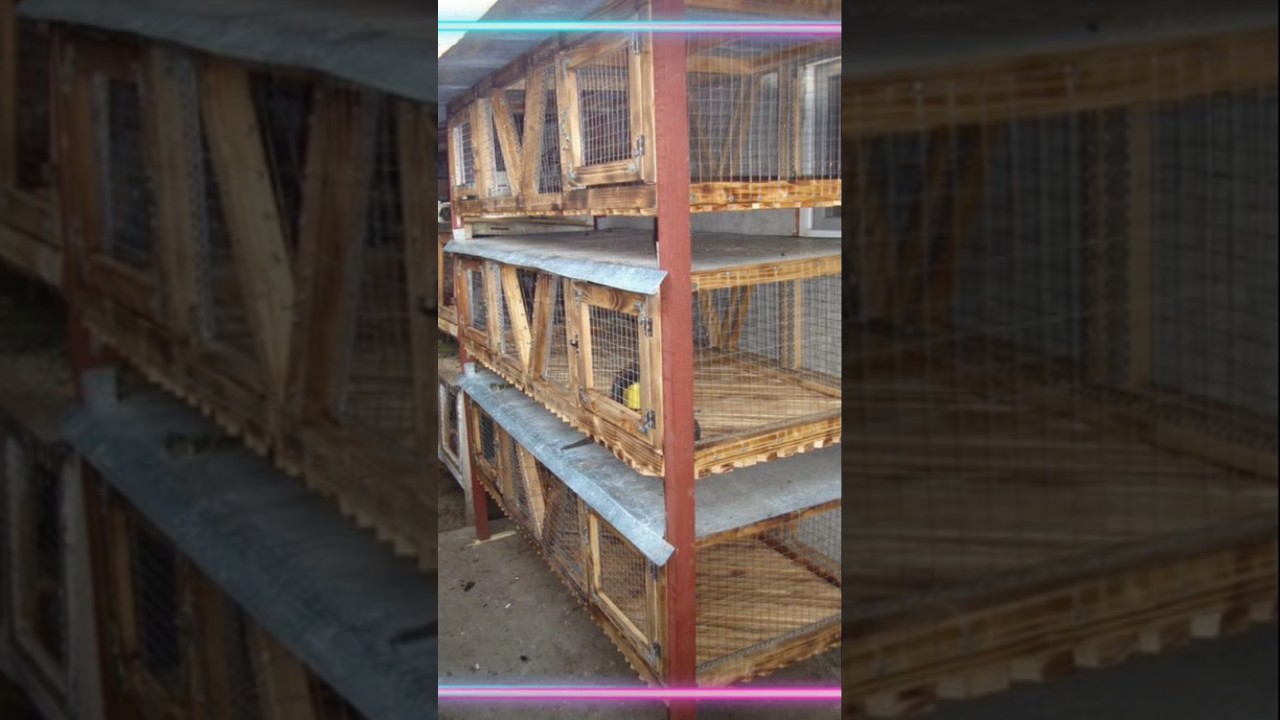 voici les cages adopt&eacute; pour les lapins