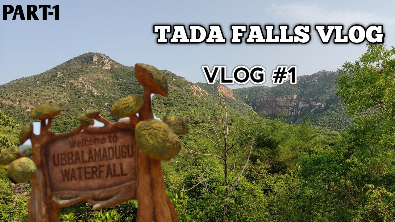 Tada Falls || Part-1 || #1 Vlog || Tamil || Tasteometer