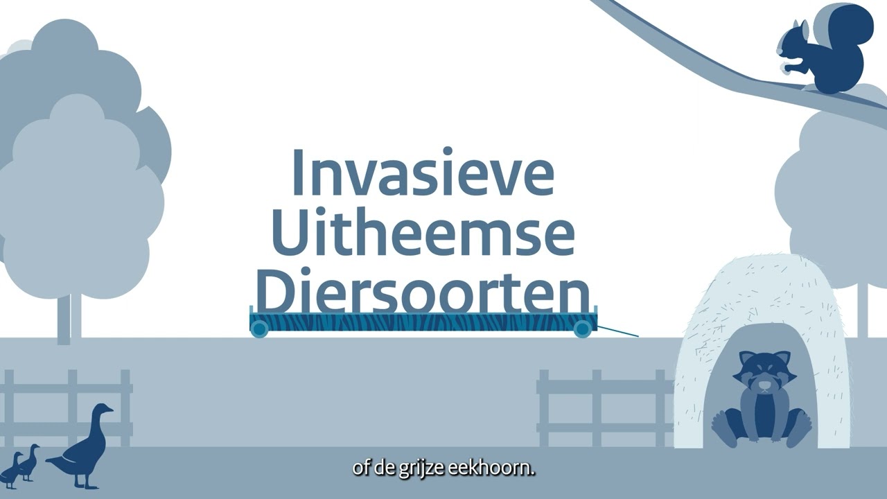 IUS Dierentuin animatie