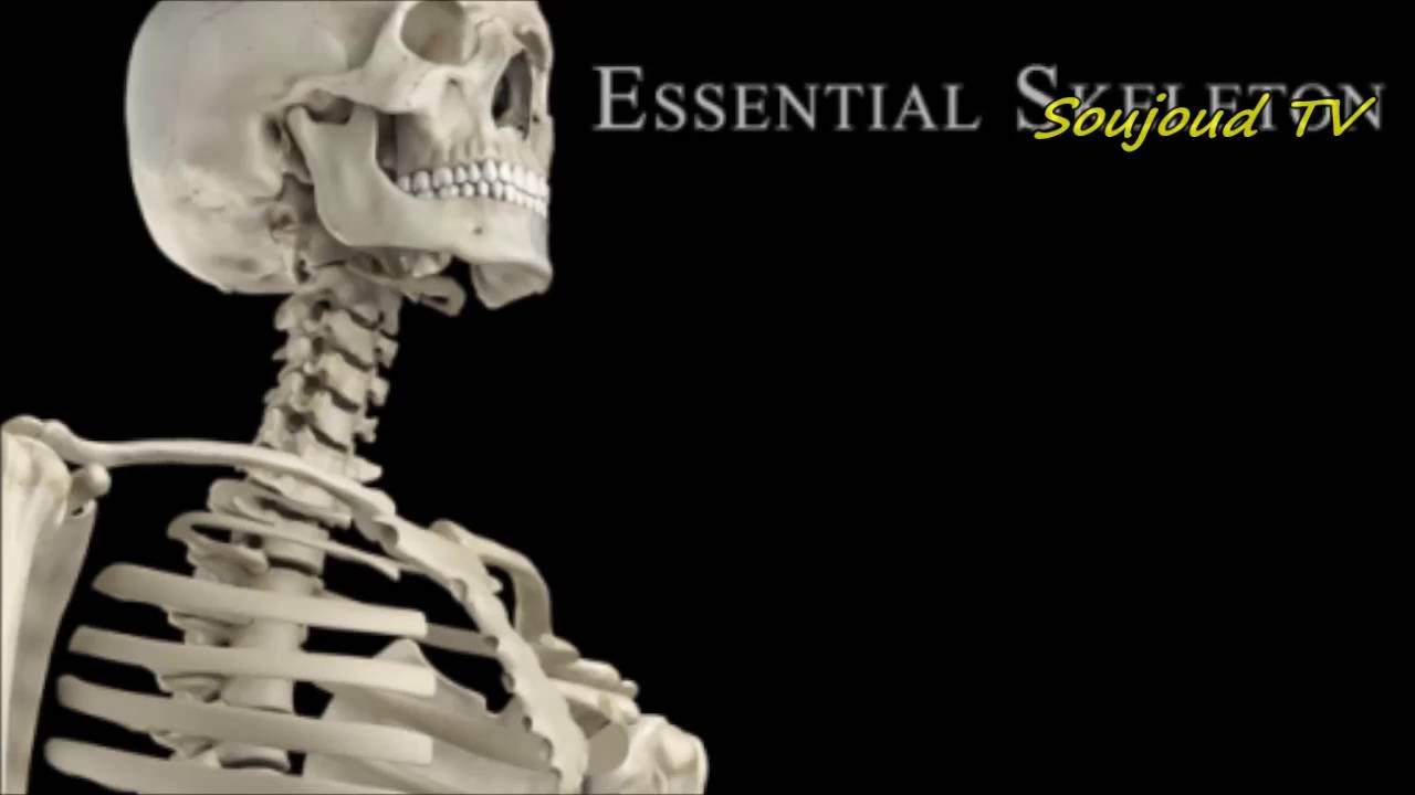 Le Sommeil est le Frère de la Mort