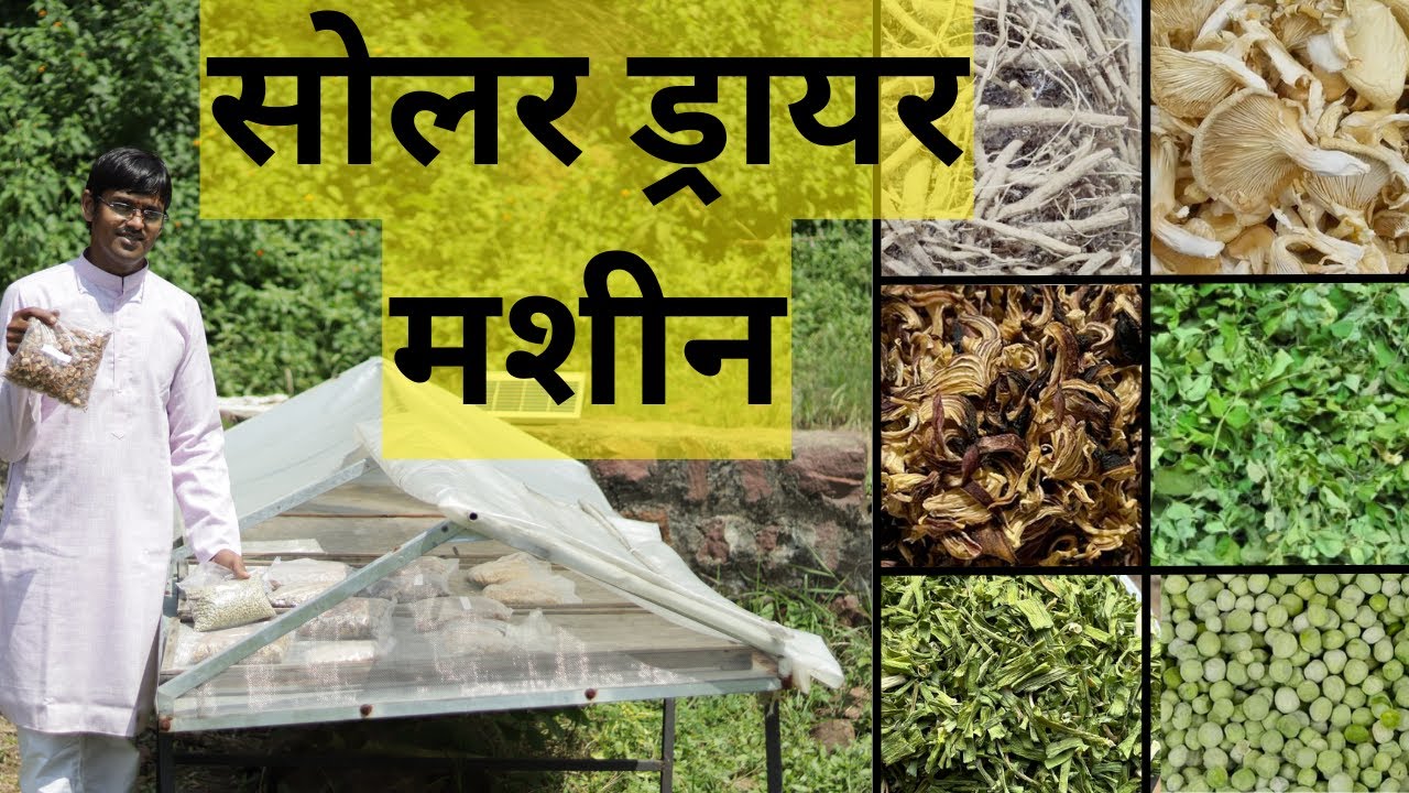 सोलर ड्रायर मशीन | सोलर डिहाइड्रेटर क्या है, कैसे बनाते , फायदे , लाभ | आकाश चौरसिया जी