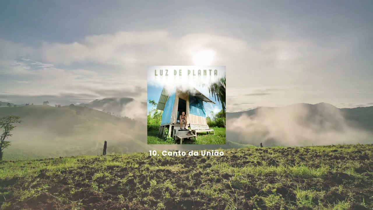 Canto da União - cantante dourado ) (Luz de Planta)