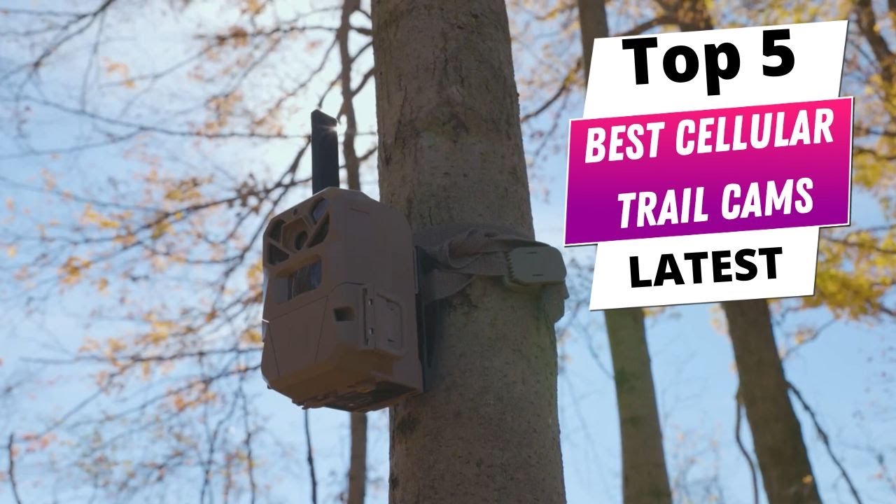 ✅ Best cellular trail cams: Cellular trail cams (Buying Guide)