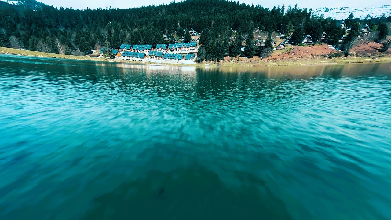 A bird flies over the lake of Payolle | Lac de Payolle | Hautes-pyrénées | France