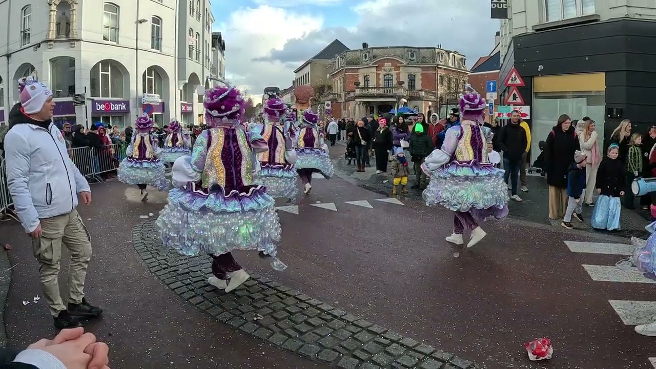 Aalst Maandag groepen 2026 🎭 - De Zieke Zjieratten - Twiekierenniet