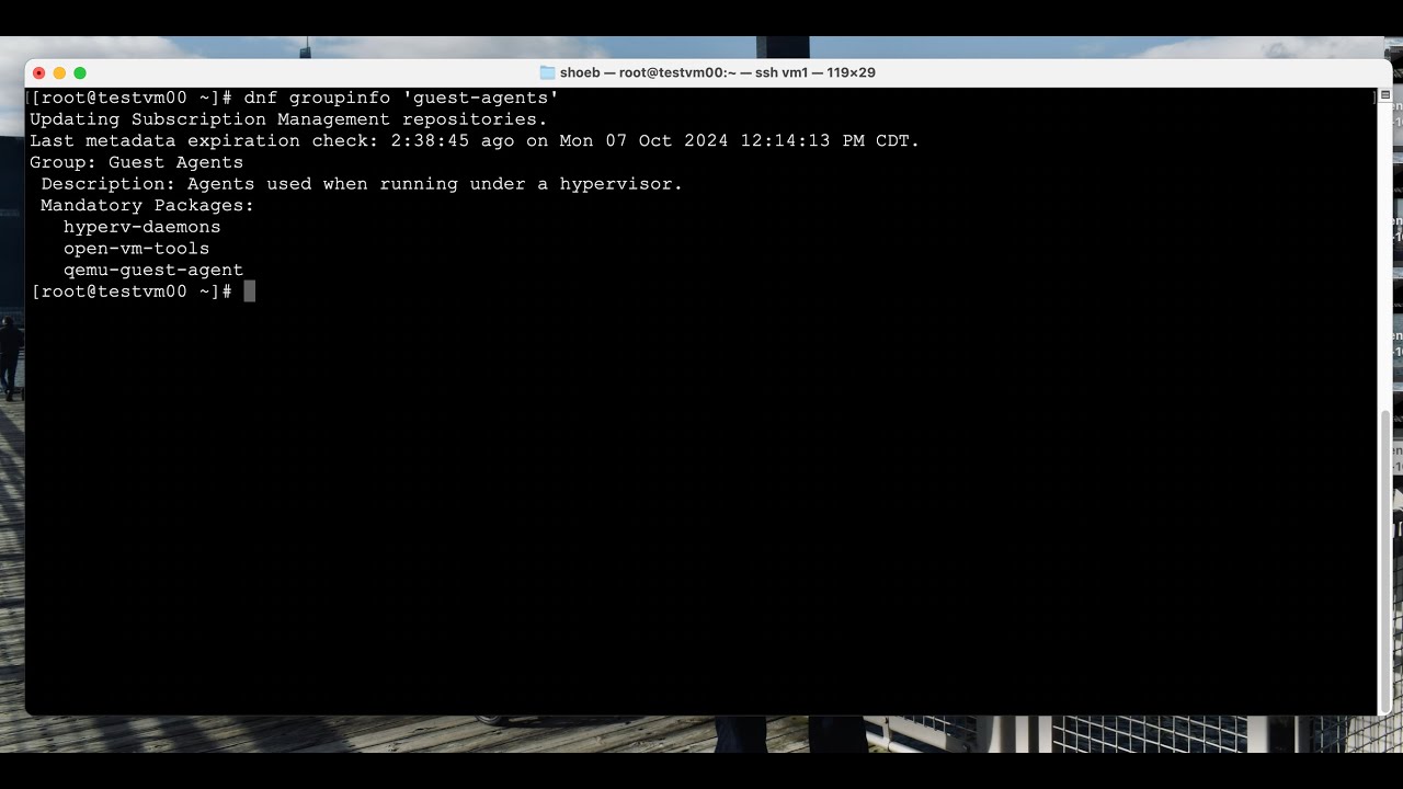 Red Hat Container Platform Podman Custom Images & Deployment