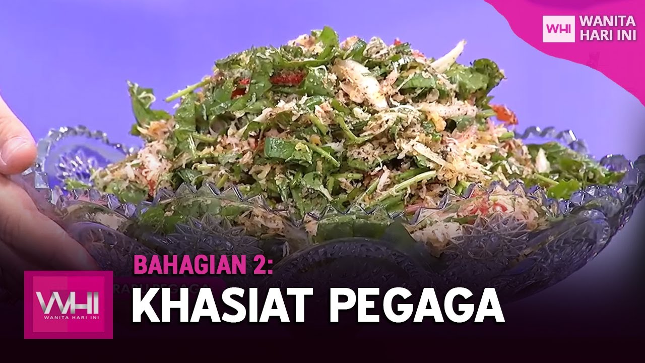Khasiat Pegaga Bhg 2 | WHI (1 Disember 2020)