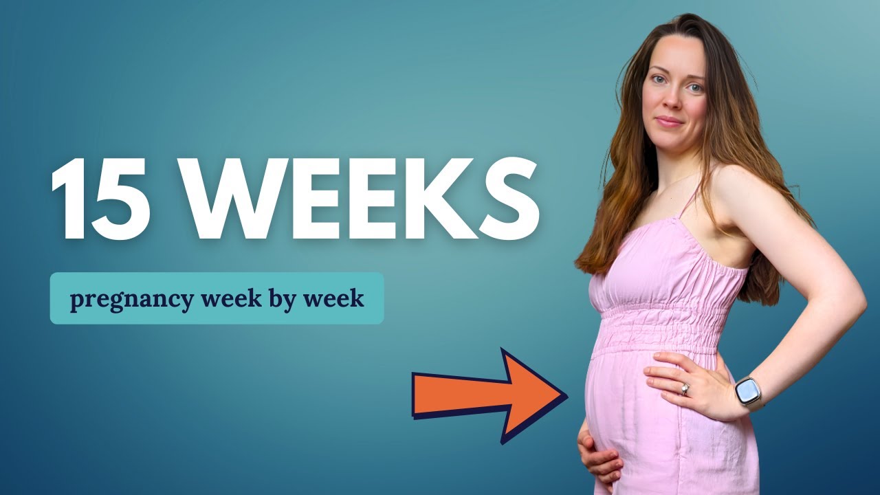 15 Weeks Pregnant 🤰 What to Expect: Changes for You & Baby Development