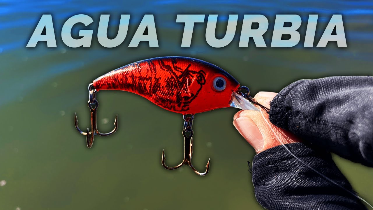 Este Señuelo FUNCIONA para Pescar Agua Turbia