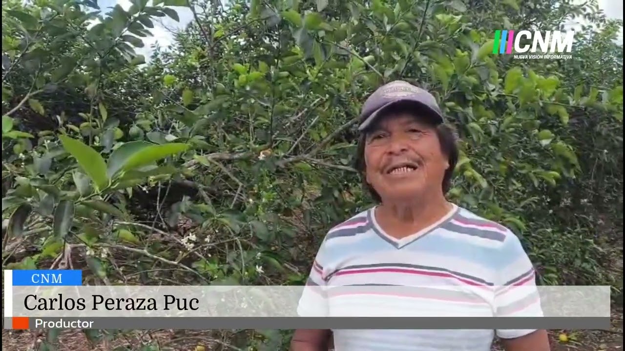 #CulturaDeLaLegalidad | SSC refuerza proximidad social en la UIMQROO