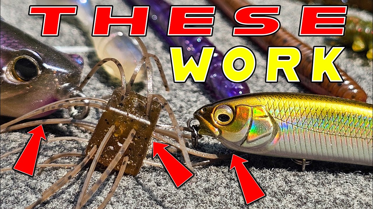 Breaking Down A New Lake To Find And Catch Bass!