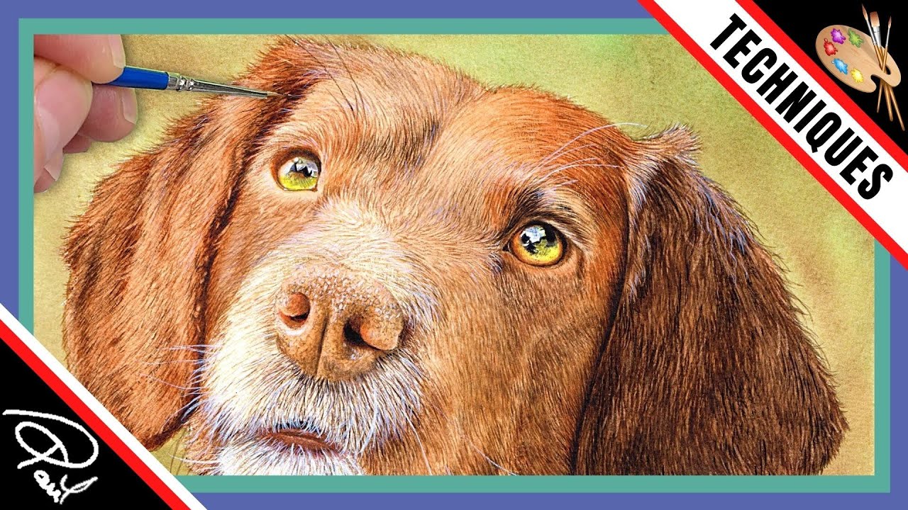 Dog Fur Watercolour Painting Tutorial - How to paint an ear