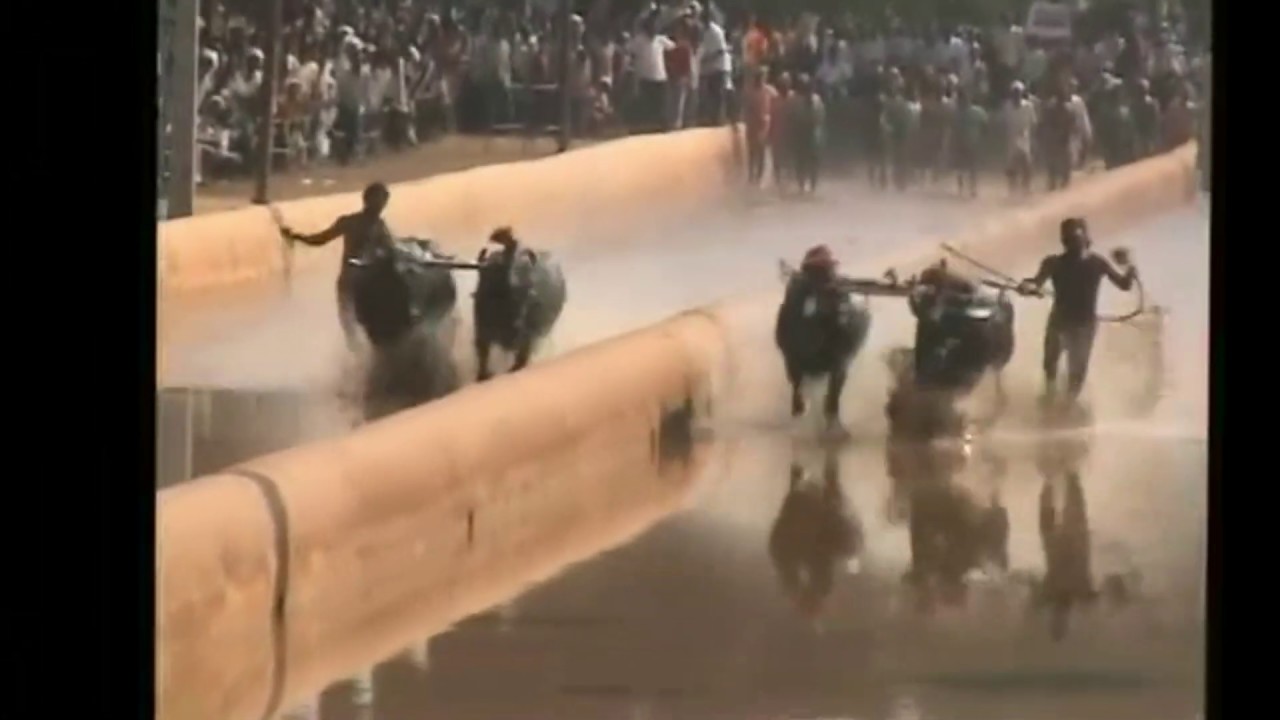 Kambala - Chenna and Bajpe old video