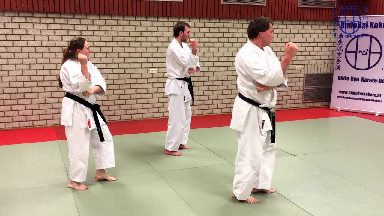 Pinan Godan Shito-ryu & Bunkai Kumite