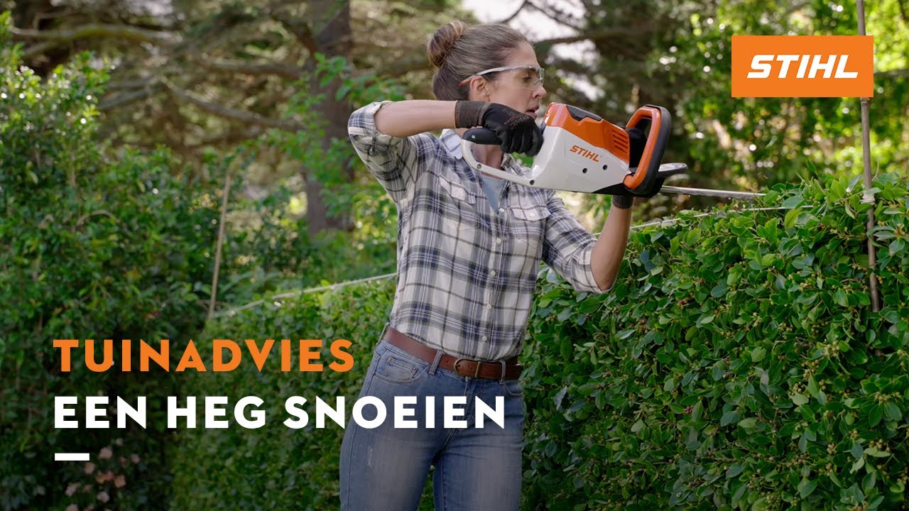 Een heg snoeien - STIHL Tuinadvies