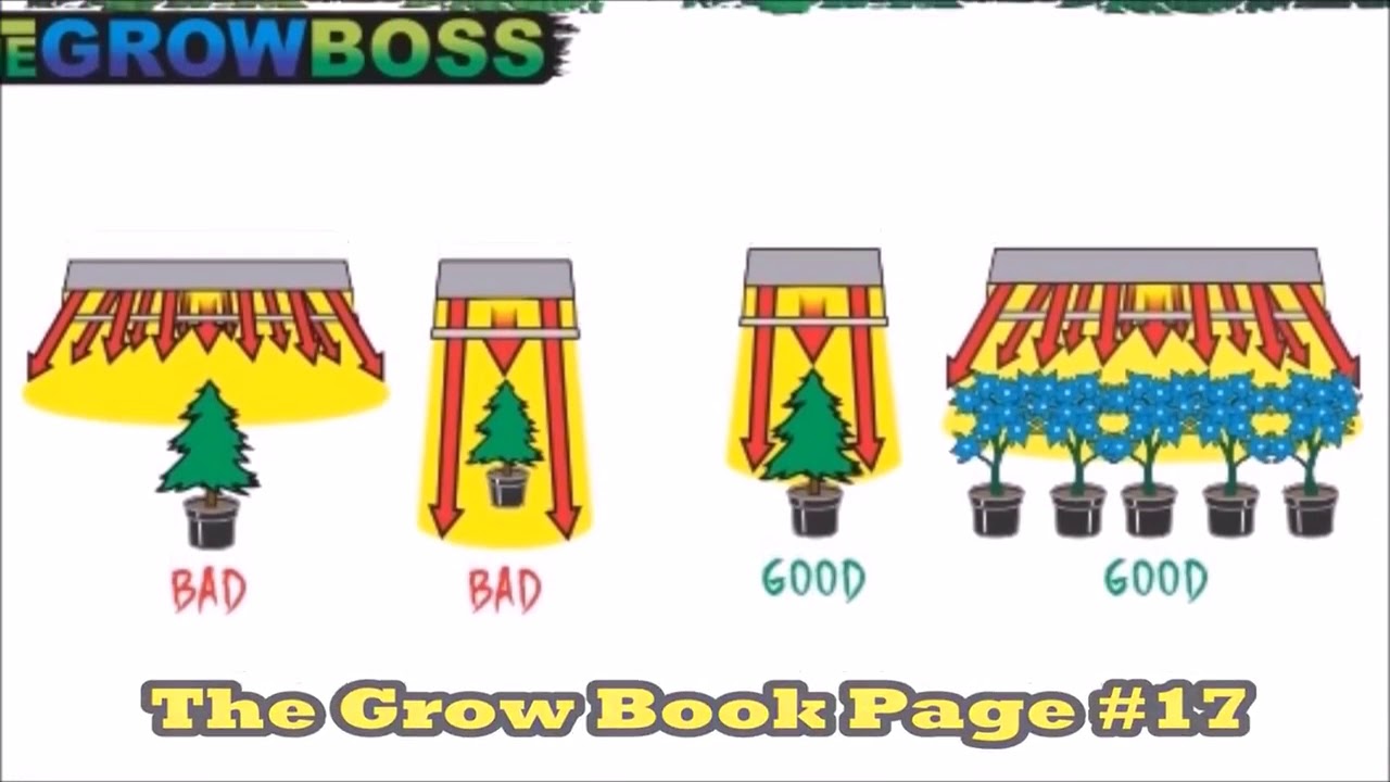 LIGHT RAIL LIGHT MOVER - GET 25% MORE CANNABIS FROM THE SAME LIGHT - BOX OPENING VIDEO - GROW BOSS