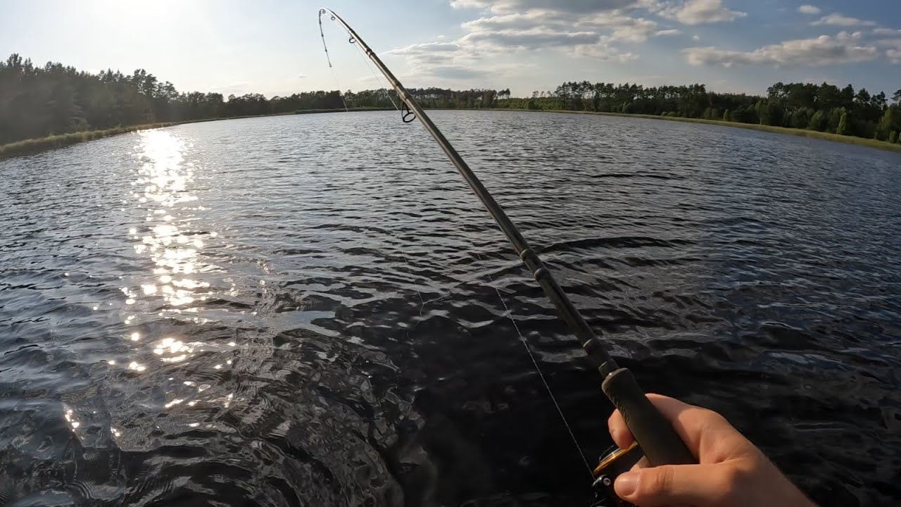 Tu są SANDACZE?! | Spinning na Torfowisku