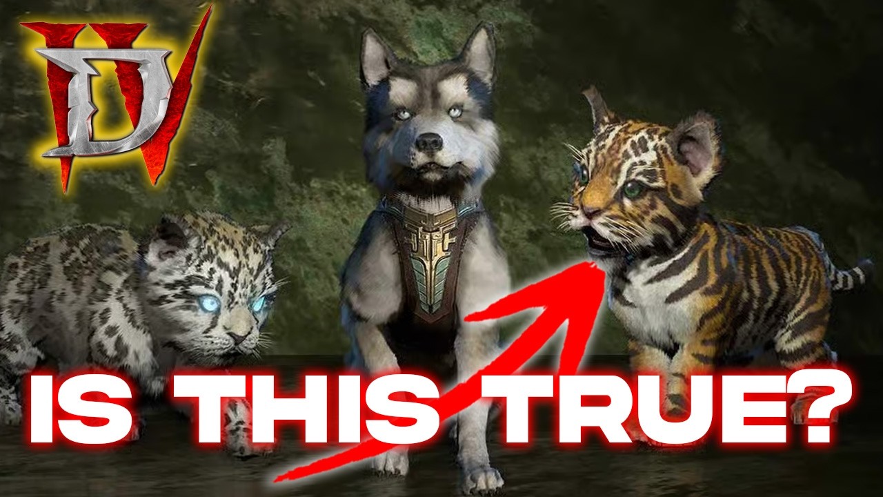 Are Pets in Diablo 4 or any other ARPG PAY 2 WIN?