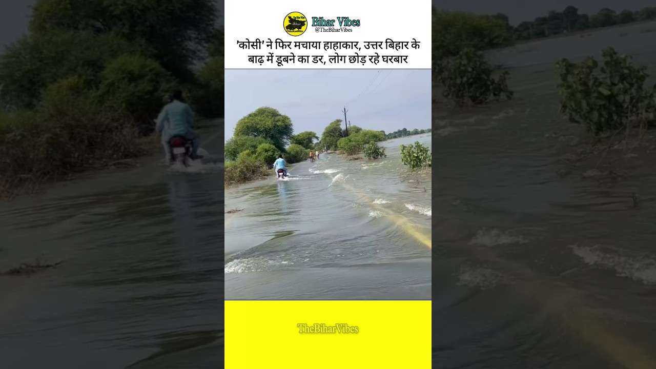 koshi nadi khagaria | koshi nadi supaul | kosi nadi saharsa | Bihar Flood | #bihar #flood #ytviral
