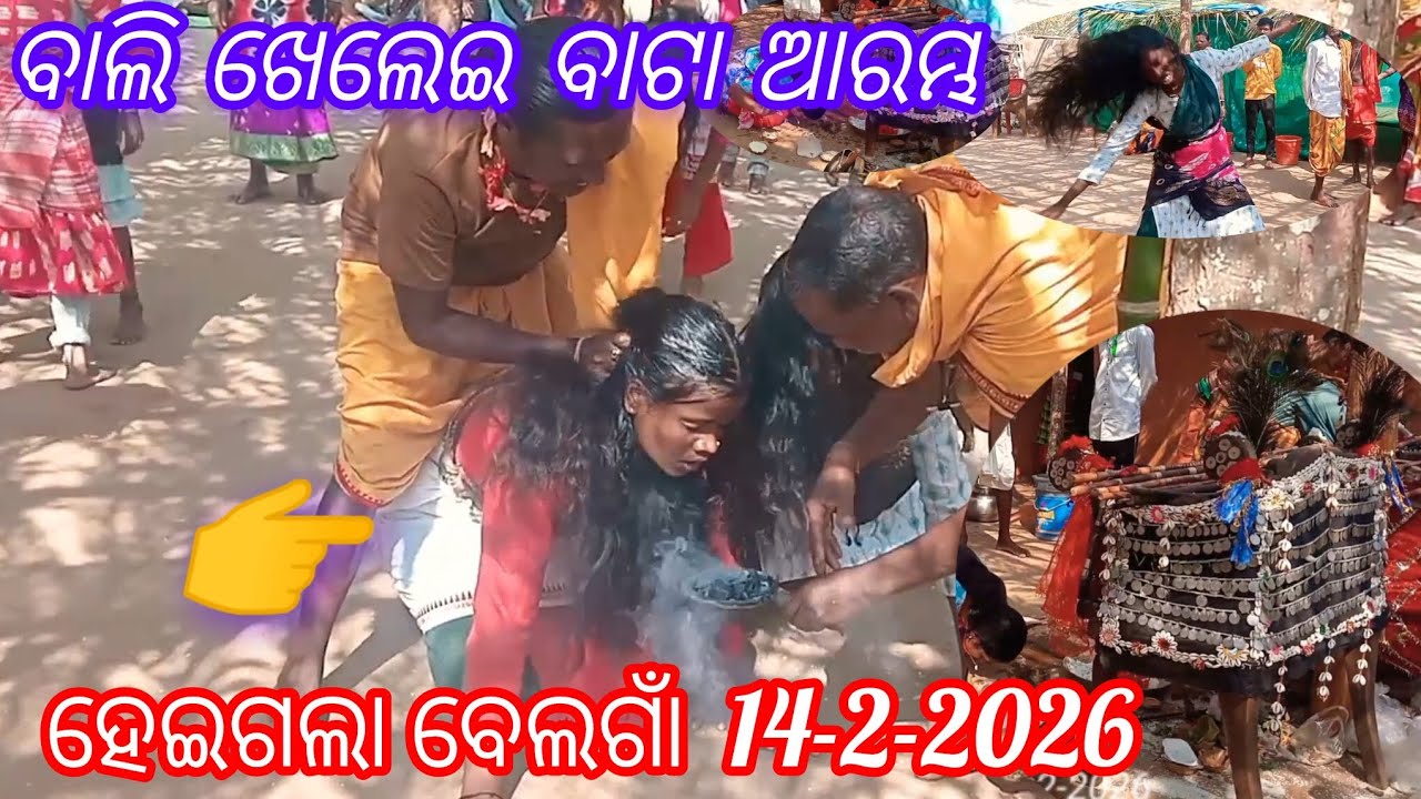 ବାଲି ଖେଲେଇ ବାଟା ଆରମ୍ଭ ହେଇଗଲା ବେଲଗାଁ 14-2-2026 // Belgam Bali Jatra @Umadesivillage