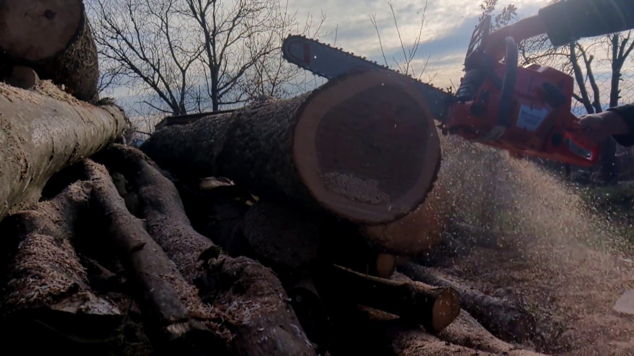 Husqvarna 562XP vs. 365 vs. 372XP - same bar, same chain