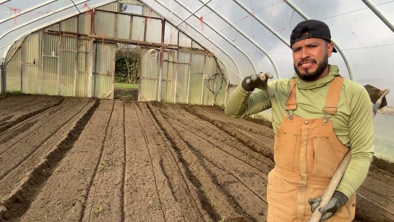 Otro video más en otra casa verde alistándola para tirar semilla de chícharos 🥬🥕🥦🥒🫜#campo