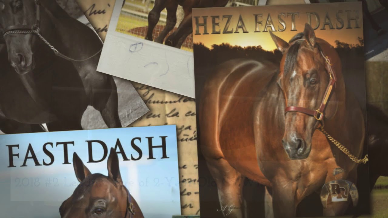 Heza Fast Dash
