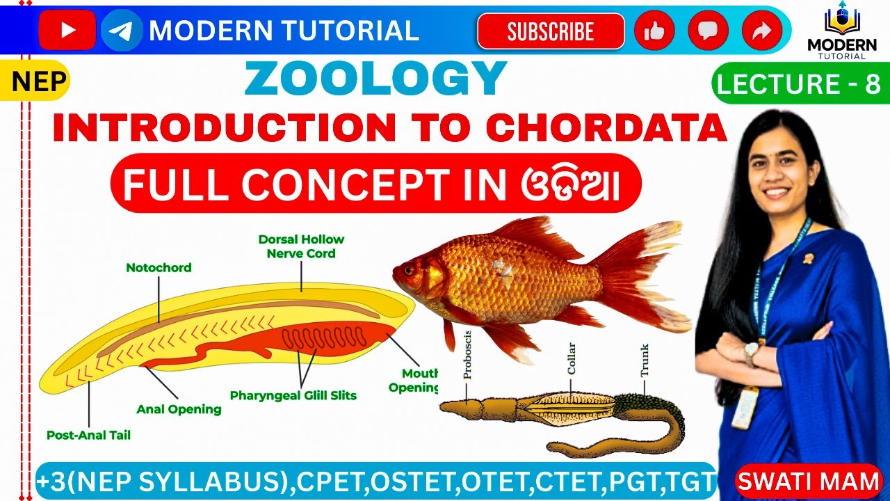 🎯CLASS-8 || INTRODUCTION TO CHORDATA || ZOOLOGY || MAJOR-1 || PAPER-1 ||