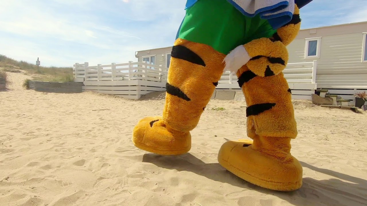 Rory the Tiger Has Been Enjoying the Heatwave | Haven
