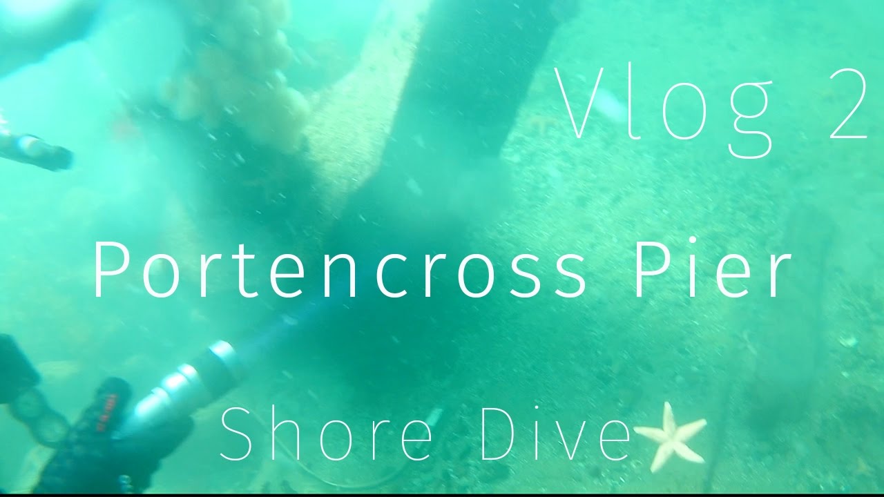 Vlog 2 - Portencross Pier, Shore Dive