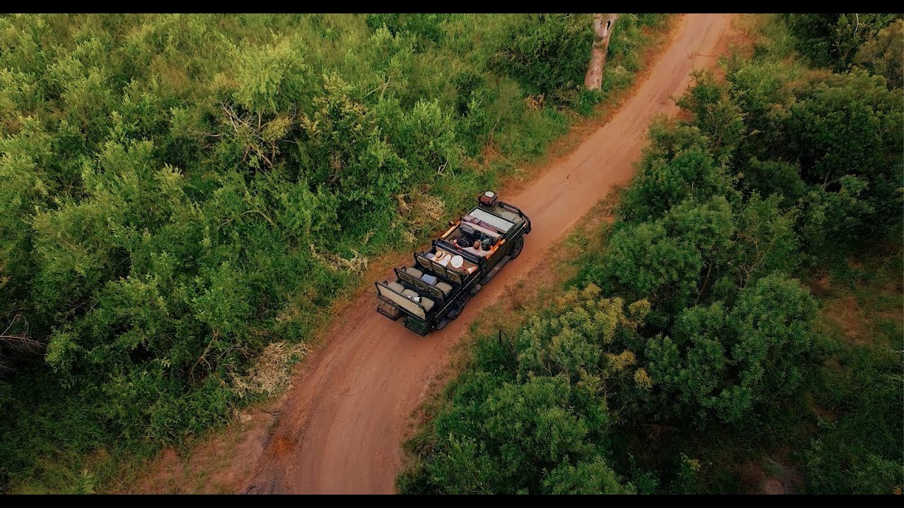 Simbambili - Thornybush Lodge Video