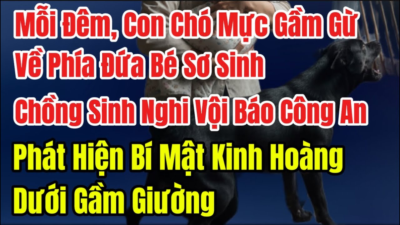 Mỗi Đêm,Con Chó Mực Gầm Gừ Về Phía Đứa Bé Sơ Sinh, Nghi Ngờ Ck Báo C.An, Phát Hiện Bí Mật Kinh Hoàng