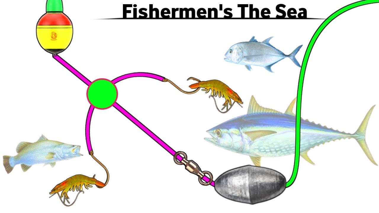 The secret of fishermen to catch fish in the sea using two hooks