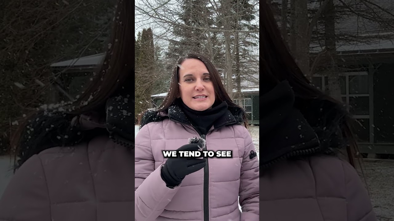 Насколько суровы зимы в Нью-Брансуике? #greatermonctonarea #newbrunswickwiters