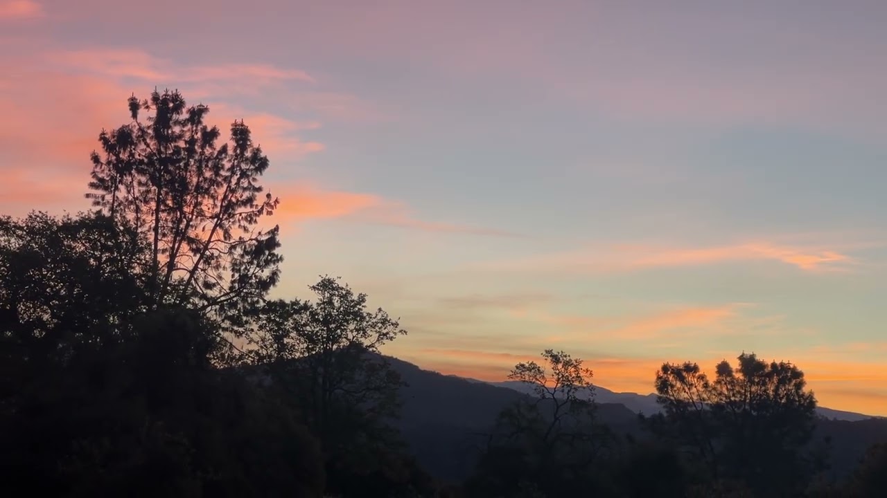 Resilience Ridge Wake up to song birds and Raptors!