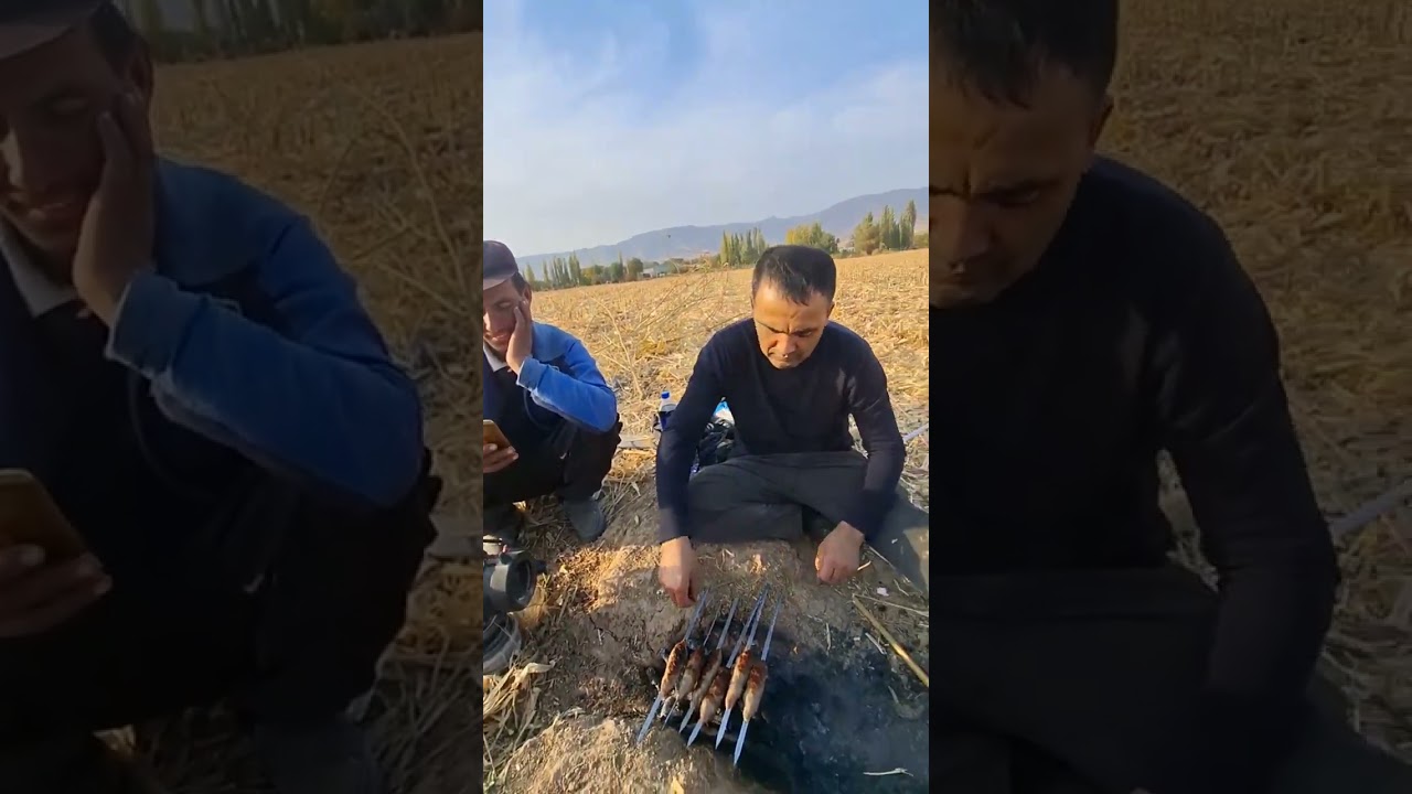 #goat #rekkkkkk #video #гиссар #uzbek #rek #uzbekistan #uzb #reels #sheep #shorts