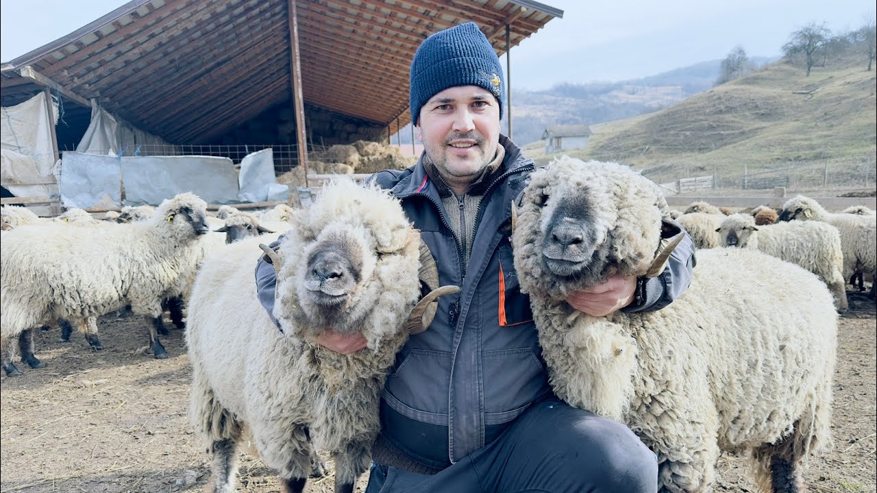 FERMA MILITARU DIN PRAHOVA! PLANURI PENTRU 2024