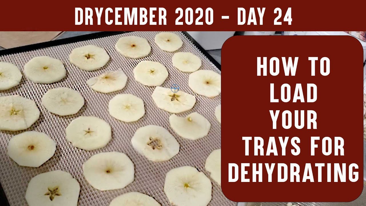 HOW TO LOAD YOUR TRAYS FOR DEHYDRATING | DRYCEMBER: Preparing trays for drying in your dehydrator