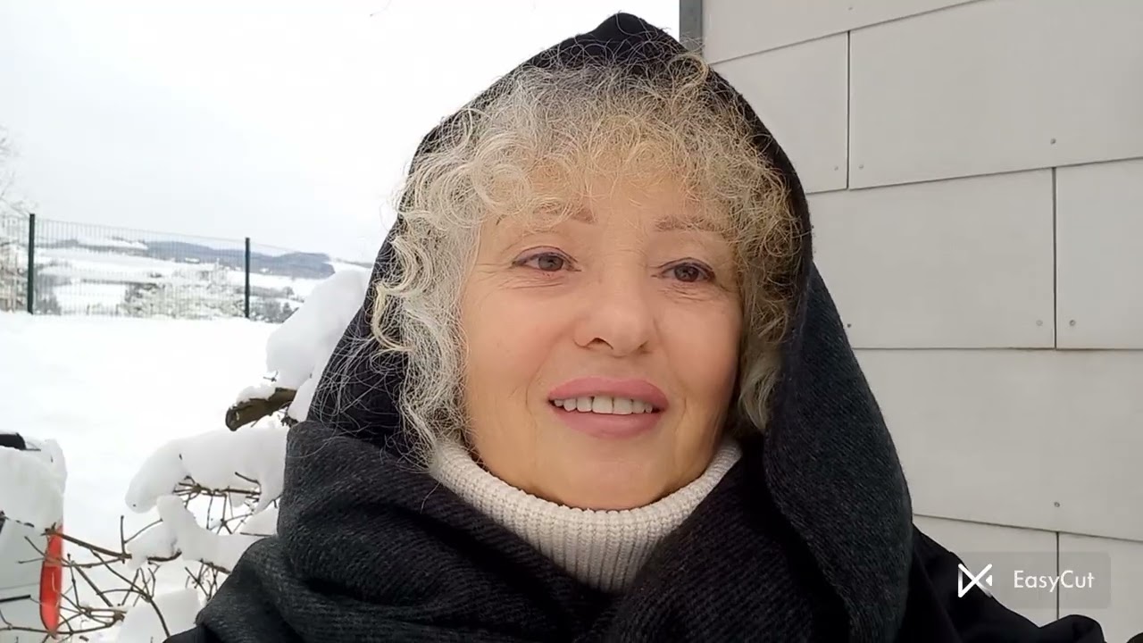 Австрия удивила снегом. Автобан.
