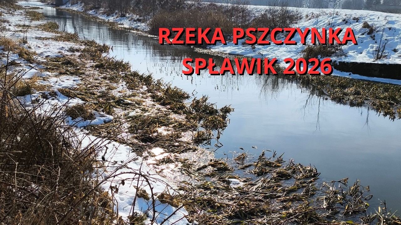 Rzeka Pszczynka 2026 | Gdzie podziały się RYBY?