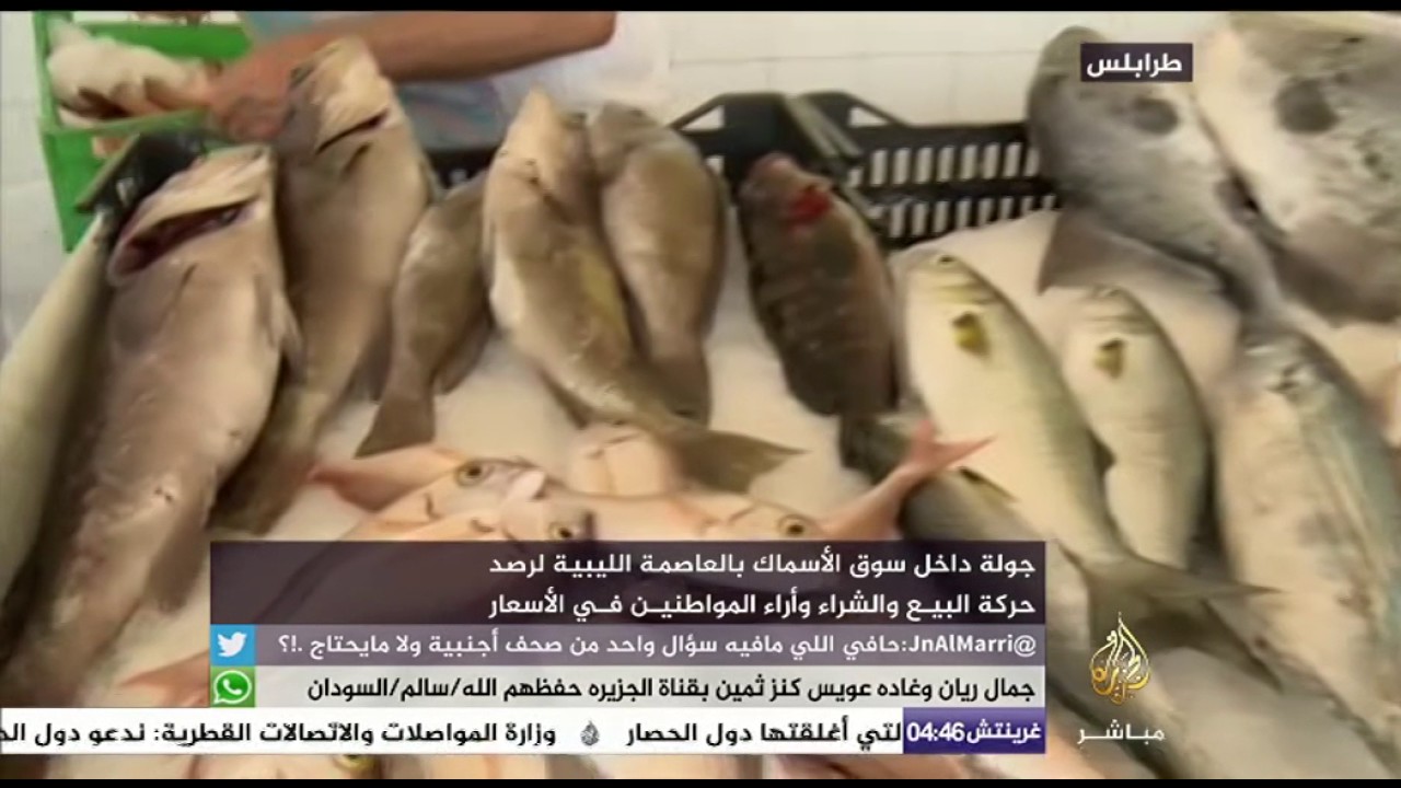 سوق الأسماك بالعاصمة الليبية وآراء المواطنين في الأسعار