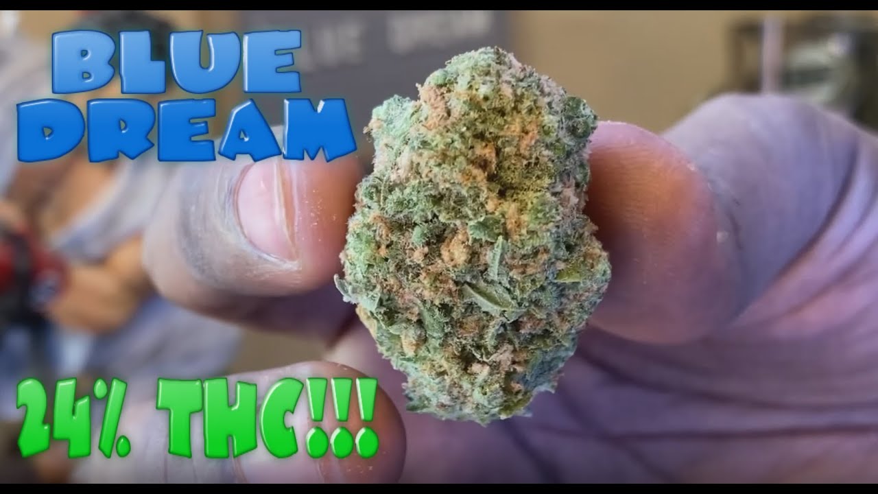 Weed Smoking Session #30 - Blue Dream
