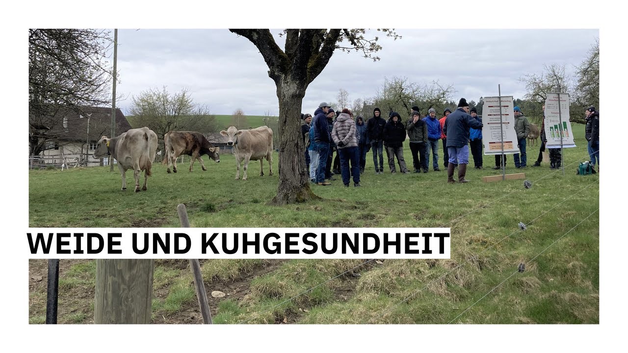 AGFF-Strickhof-Tag: Weide und Kuhgesundheit