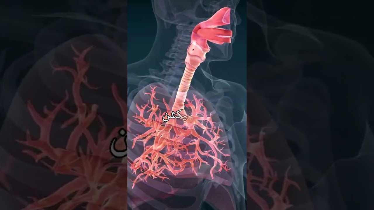 Asthma Awareness | Causes, Symptoms & Treatment | Dr. Ijaz Chaudhary | Novocare Hospital #doctor