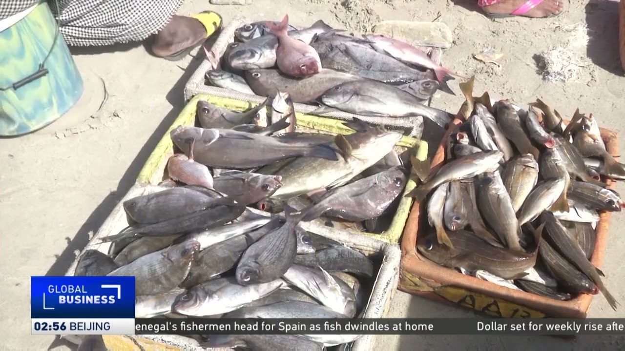 Senegal fish prices surge amid Ramadan rush