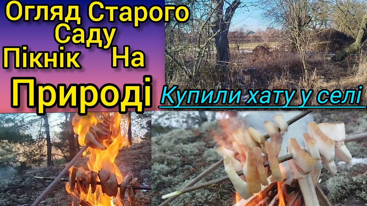 Огляд старого саду. Пікнік на природі Купили хату у селі 
